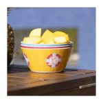 Pokémon Summer Days Snack Bowls (4-Pack) - Image 5